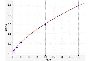 Typical standard curve (ACLY Kit ELISA)