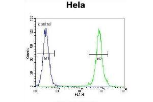 anti-TNFRSF1A-Associated Via Death Domain (TRADD) (AA 133-159), (Middle Region) antibody