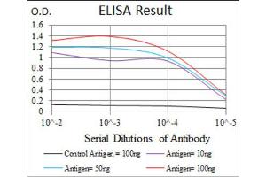Red: Control Antigen (100ng) ; Purple: Antigen (10ng) ; Green: Antigen (50ng) ; Blue: Antigen (100ng). (Hexosaminidase A anticorps)