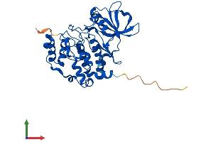 AlphaFold protein structure predicition of Mouse Recombinant Csnk2a2 Protein, UniprotID O54833