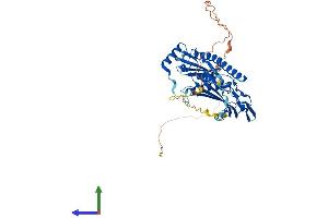 AlphaFold protein structure predicition of Human Recombinant EXOSC9 Protein, UniprotID Q06265