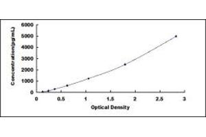 Typical standard curve (CHRNB1 Kit ELISA)