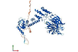AlphaFold protein structure predicition of Human Recombinant KLHL13 Protein, UniprotID Q9P2N7