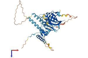 AlphaFold protein structure predicition of Mouse Recombinant Rnf135 Protein, UniprotID Q9CWS1