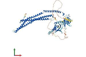 AlphaFold protein structure predicition of Human Recombinant APPL2 Protein, UniprotID Q8NEU8