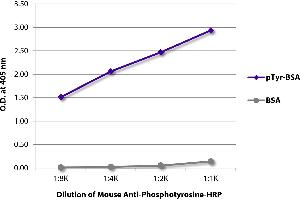 ELISA plate was coated with BSA and BSA conjugated to phosphotyrosine (pTry-BSA). (Phosphotyrosine anticorps  (HRP))