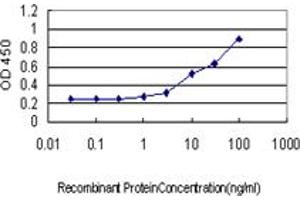 Detection limit for recombinant GST tagged CCNH is approximately 1ng/ml as a capture antibody.