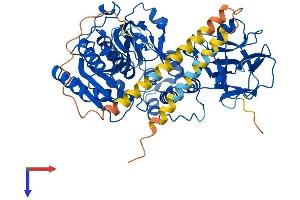 AlphaFold protein structure predicition of Human Recombinant GALNT8 Protein, UniprotID Q9NY28
