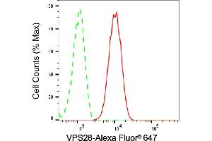 Flow cytometric analysis of VPS28 expression in C2C12 cells using VPS28 antibody (ABIN7800926), 1:2,000). (Recombinant VPS28 anticorps)