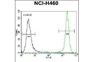 Flow cytometric analysis of NCI-H460 cells (right histogram) compared to a negative control cell (left histogram). (Histone 3 anticorps  (AA 50-78))