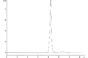The purity of Mouse TGM2 is greater than 95 % as determined by SEC-HPLC.