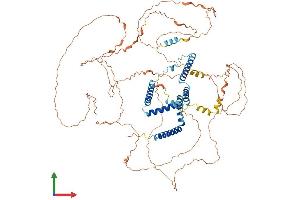 AlphaFold protein structure predicition of Human Recombinant RTN1 Protein, UniprotID Q16799