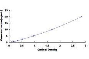 Methyl CpG Binding Protein 2 (MECP2) ELISA Kit