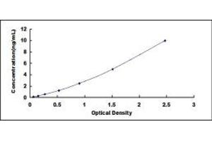 Typical standard curve (Kallikrein 6 Kit ELISA)
