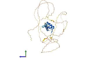 AlphaFold protein structure predicition of Mouse Recombinant Evx1 Protein, UniprotID P23683