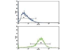 Flow cytometric analysis of HepG2 cells using IFNB1 antibody (blue) compared to a negative control (green).