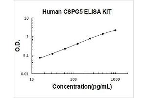 Chondroitin Sulfate Proteoglycan 5 (Neuroglycan C) (CSPG5) ELISA Kit