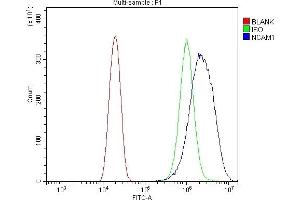 Flow Cytometry analysis of U20S cells using anti-NCAM1 antibody (ABIN7602512).