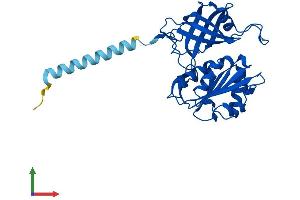 AlphaFold protein structure predicition of Mouse Recombinant Cyb5r1 Protein, UniprotID Q9DB73