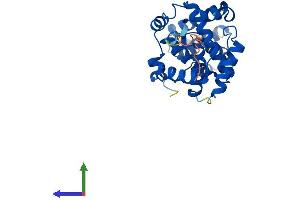 AlphaFold protein structure predicition of Human Recombinant CCNC Protein, UniprotID P24863
