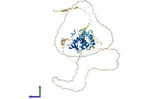 AlphaFold protein structure predicition of Human Recombinant ETV6 Protein, UniprotID P41212