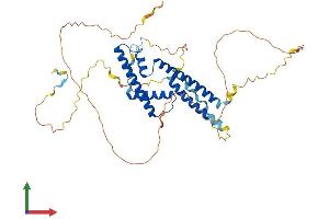 AlphaFold protein structure predicition of Mouse Recombinant Supt7l Protein, UniprotID Q9CZV5