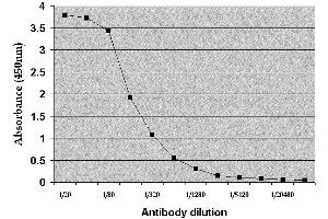 ELISA image for anti-Albumin (ALB) antibody (FITC) (ABIN2477337) (Albumin anticorps  (FITC))