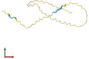 AlphaFold protein structure predicition of Human Recombinant ARMS2 Protein, UniprotID P0C7Q2