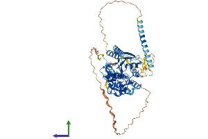 AlphaFold protein structure predicition of Mouse Recombinant Gnl3 Protein, UniprotID Q8CI11