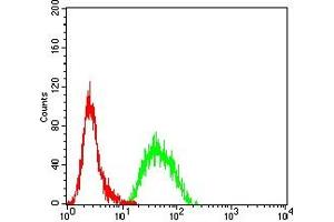 Flow cytometric analysis of Hela cells using PD1 mouse mAb (green) and negative control (red). (PD-1 anticorps  (AA 192-288))