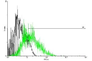 FACS analysis of negative control 293 cells (Black) and CCR5 expressing 293 cells (Green) using CCR5 purified MaxPab mouse polyclonal antibody.