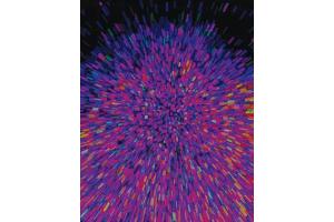 ModDetect® Phosphorothioate Panel