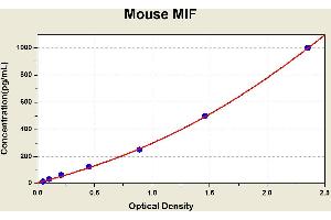 Diagramm of the ELISA kit to detect Mouse M1 Fwith the optical density on the x-axis and the concentration on the y-axis. (MIF Kit ELISA)