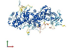 AlphaFold protein structure predicition of Human Recombinant TBCK Protein, UniprotID Q8TEA7