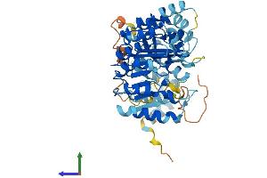 AlphaFold protein structure predicition of Human Recombinant PRAMEF2 Protein, UniprotID O60811