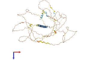 AlphaFold protein structure predicition of Mouse Recombinant Crtc3 Protein, UniprotID Q91X84