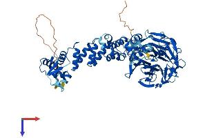 AlphaFold protein structure predicition of Human Recombinant KLHL6 Protein, UniprotID Q8WZ60