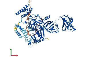 AlphaFold protein structure predicition of Human Recombinant CAPN7 Protein, UniprotID Q9Y6W3