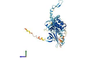 AlphaFold protein structure predicition of Mouse Recombinant Nrbp2 Protein, UniprotID Q91V36