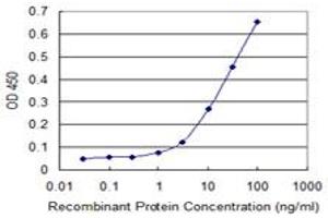 Detection limit for recombinant GST tagged ZFYVE19 is 1 ng/ml as a capture antibody. (ZFYVE19 anticorps  (AA 1-396))