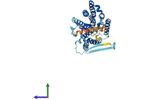 AlphaFold protein structure predicition of Mouse Recombinant Hm13 Protein, UniprotID Q9D8V0