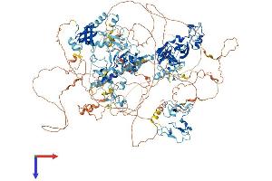 AlphaFold protein structure predicition of Mouse Recombinant Nsd3 Protein, UniprotID Q6P2L6
