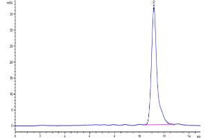 The purity of Cynomolgus Fc gamma RIIB is greater than 95 % as determined by SEC-HPLC.