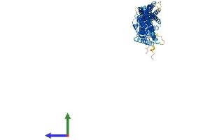 AlphaFold protein structure predicition of Mouse Recombinant Sestd1 Protein, UniprotID Q80UK0