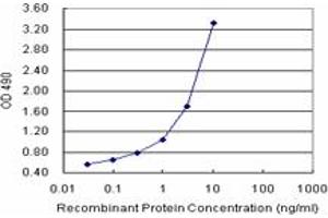 RCVRN (Human) Matched Antibody Pair