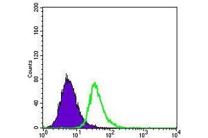 Flow cytometric analysis of HepG2 cells using ApoE mouse mAb (green) and negative control (purple).