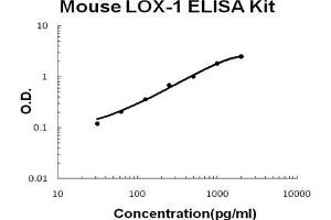 Mouse LOX-1/OLR1 PicoKine ELISA Kit standard curve (OLR1 Kit ELISA)