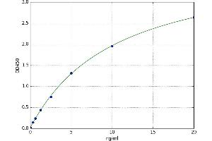 A typical standard curve
