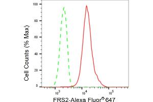 Flow cytometric analysis of FRS2 expression in HepG2 cells using FRS2 antibody (ABIN7798612), 1:2,000). (Recombinant FRS2 anticorps)