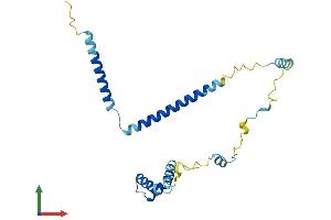 AlphaFold protein structure predicition of Mouse Recombinant Ccdc124 Protein, UniprotID Q9D8X2
